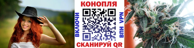 ГАШИШ Гвардейск