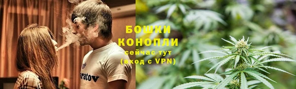 стаф Богданович