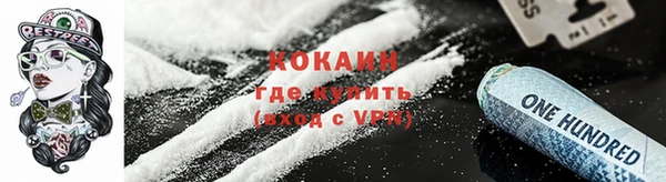 стаф Богданович