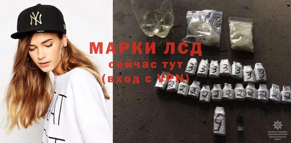 стаф Богданович