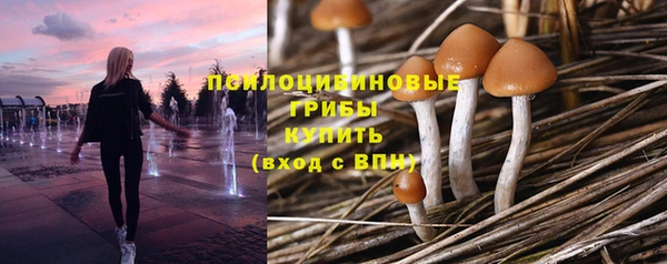 кокаин колумбия Богородицк