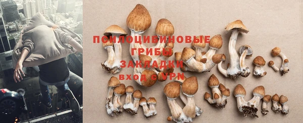 кокаин колумбия Богородицк