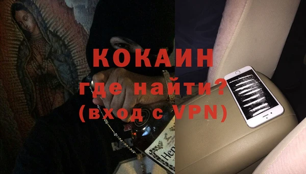 стаф Богданович