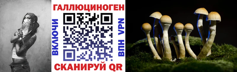 Псилоцибиновые грибы ЛСД Купить Гвардейск